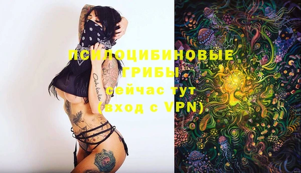 PSILOCYBIN Абинск