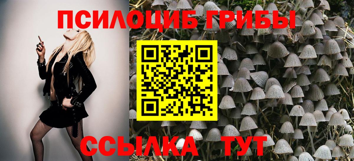 Галлюциногенные грибы Psilocybine cubensis Майский