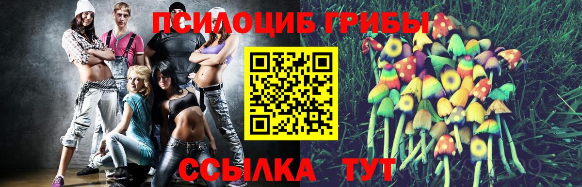 Галлюциногенные грибы Psilocybine cubensis  Вход с VPN  Майский  купить закладку  Галлюциногенные грибы Psilocybine cubensis 