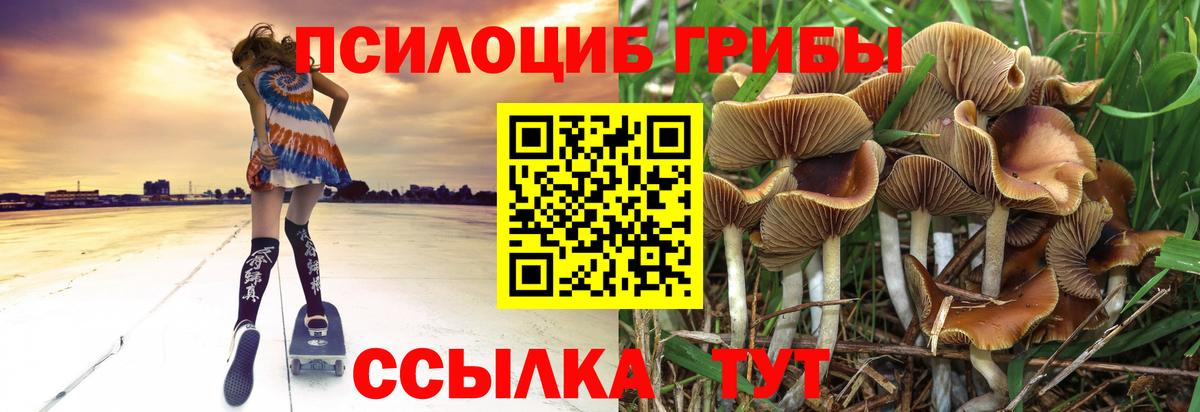 Марихуана  ГАШ  А ПВП СОЛЬ   Майский  Меф кристаллы  Вход с VPN  COCAIN  Меф 